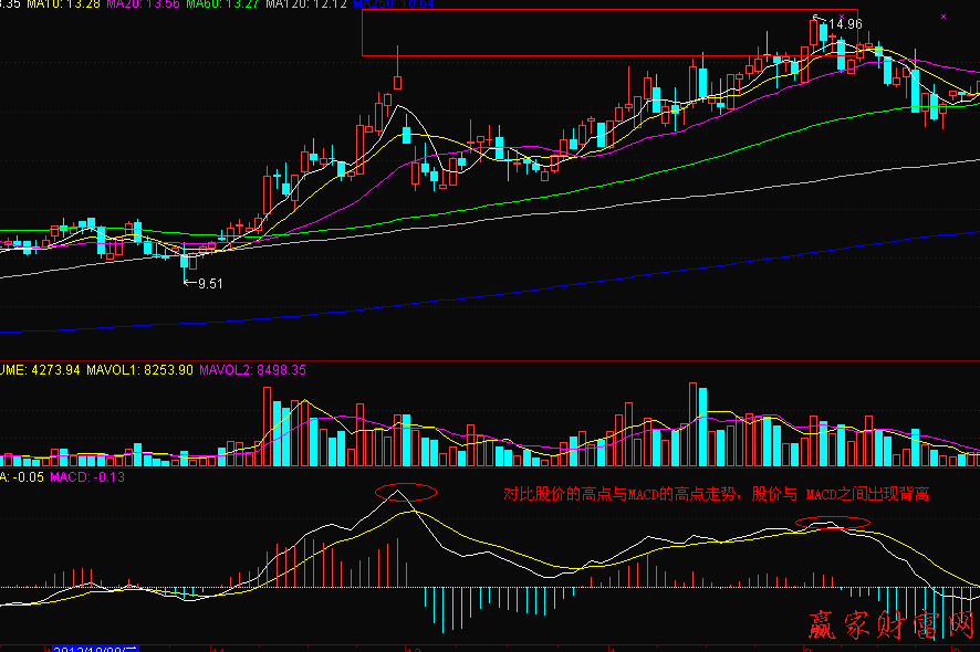 macd指標