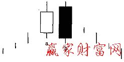 陰包陽形態(tài)