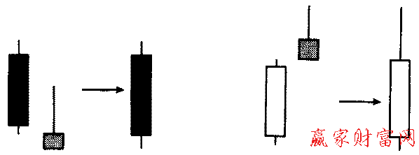 形態(tài)簡(jiǎn)化