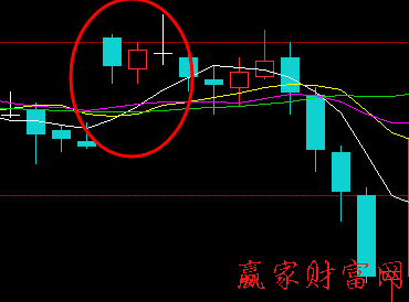 頂部舍子線