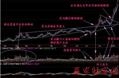 翻倍黑馬