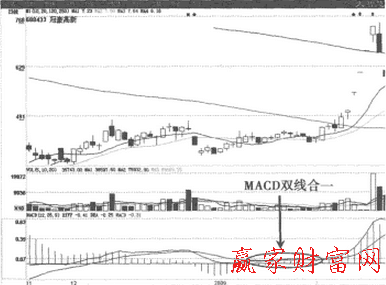 MACD雙線合一