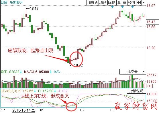 圖2 樂(lè)凱膠片.jpg