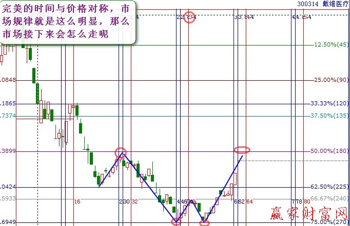 市場對稱美3