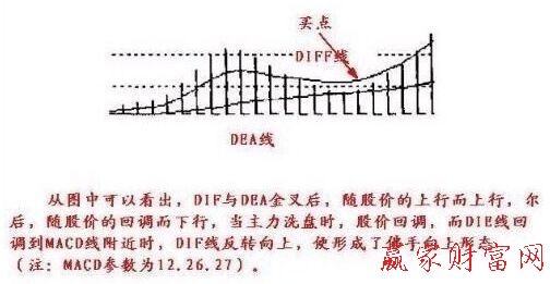 佛手向上形態(tài)