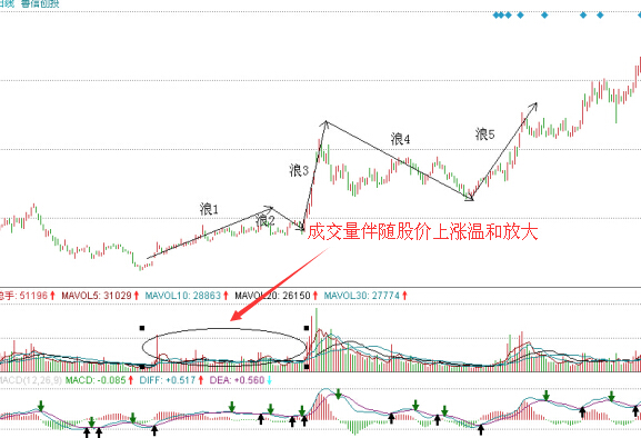 魯信高新浪1量價分析