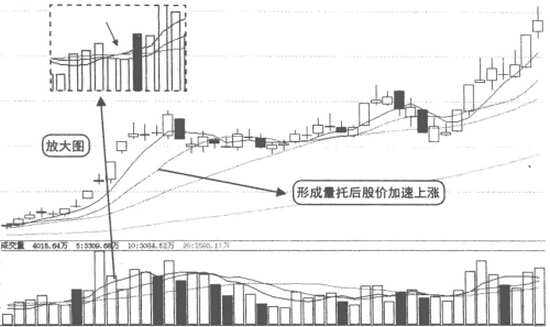 量托和價托