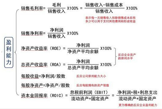 公司盈利水平