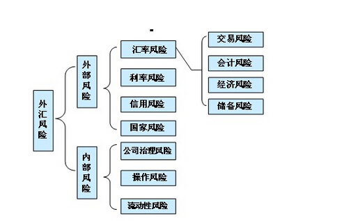 外匯風險獲利比例