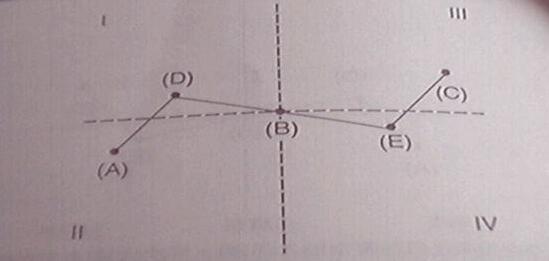 亞當理論的對稱性