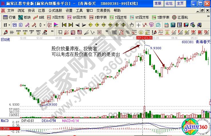 青海春天600381