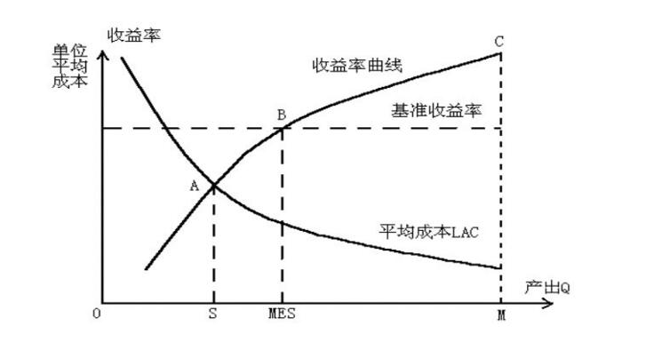 亞當理論價格