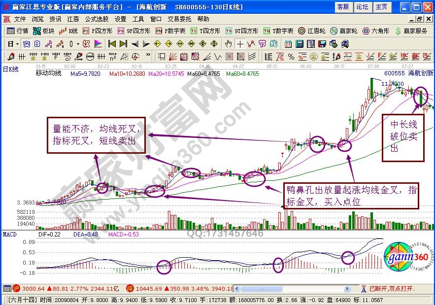 波浪式推進黑馬形態(tài)