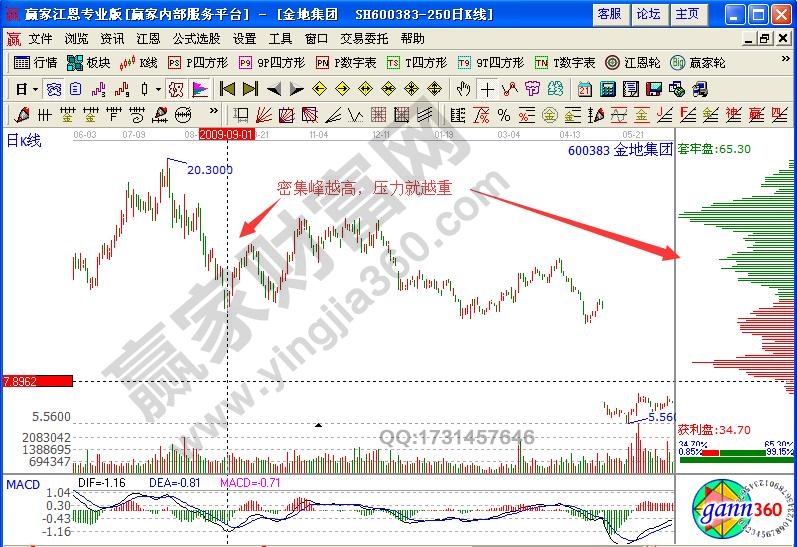 金地集團600383籌碼分布實戰(zhàn)