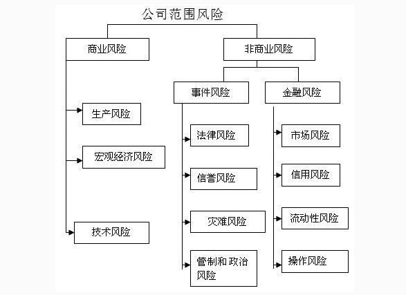 公司范圍之內的風險