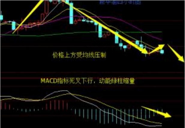 macd指標死叉見頂