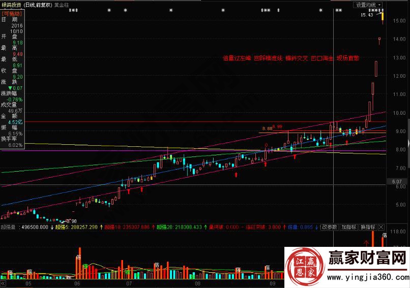 銀鴿投資600069