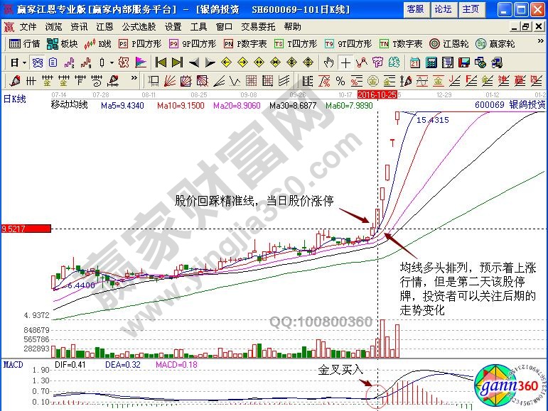 銀鴿投資停牌前走勢