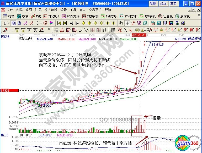 銀鴿投資介入點