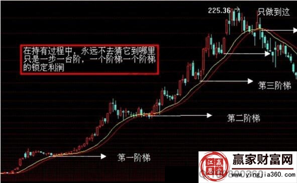 亞當(dāng)理論實例