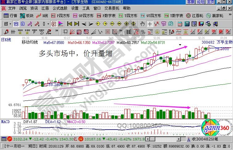 多頭市場(chǎng)價(jià)升量增