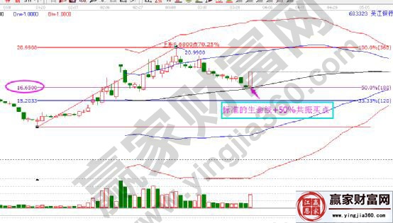 江陰銀行標(biāo)準(zhǔn)生命線+50%共振買