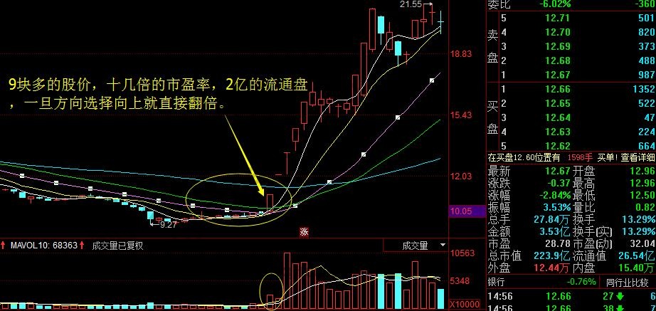 價(jià)格第盤子小的個(gè)股案例