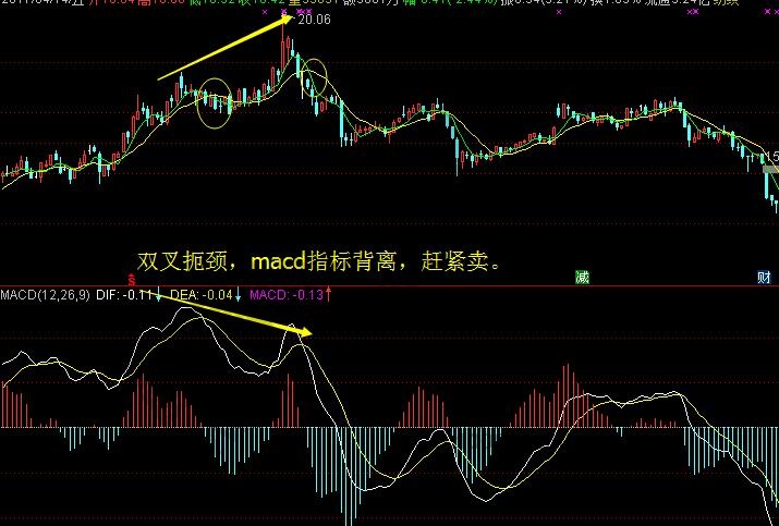 頂部形態(tài)之雙叉扼頸4.jpg