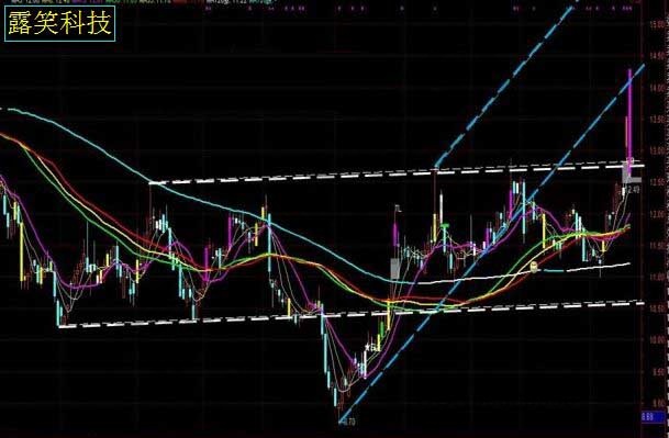 露笑科技走勢(shì)圖.jpg