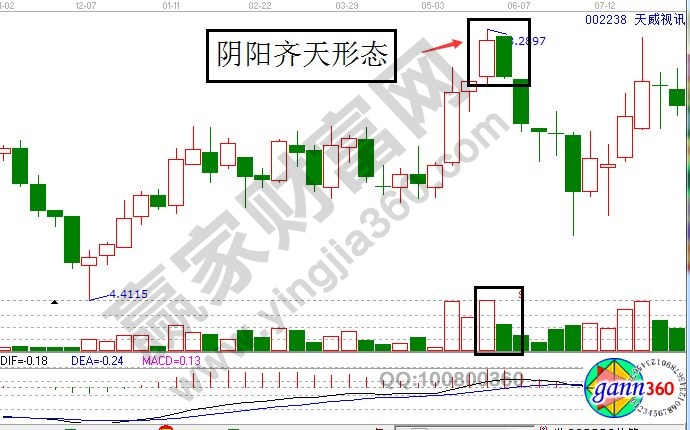 陰陽齊天形態(tài).jpg