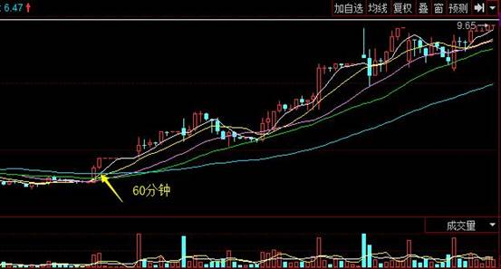 東信和平60分鐘