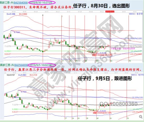 任子行300311穩(wěn)健股票